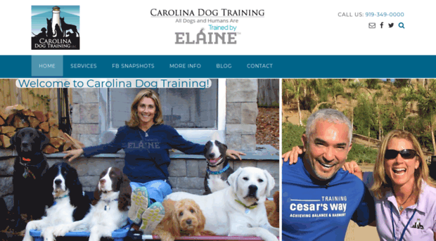 carolinadogtraining.com