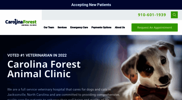 carolinaforestanimalclinic.com