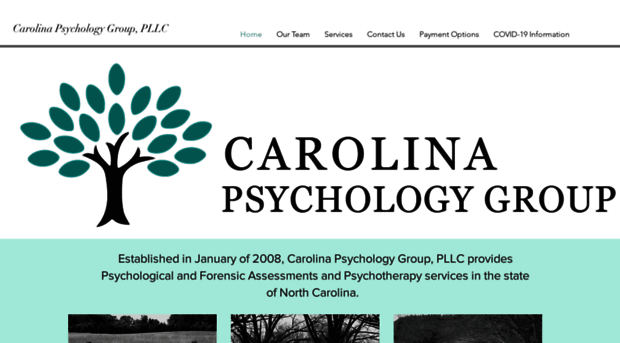 carolinapsychologygroup.com