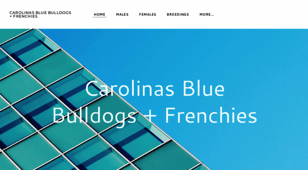 carolinasbluebulldogs.com