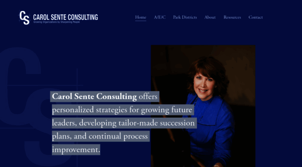 carolsenteconsulting.com