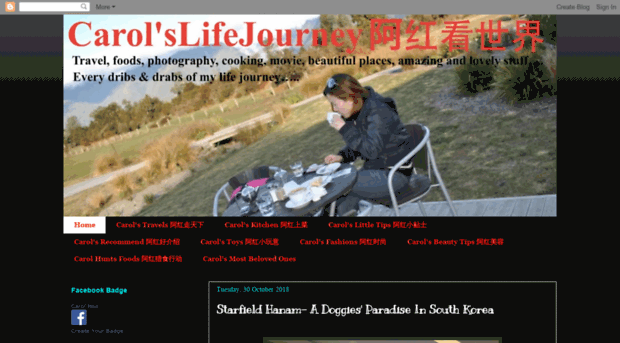 carolslifejourney.blogspot.ru