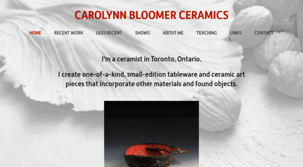 carolynnbloomer.com