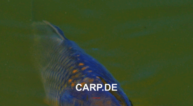 carp.de