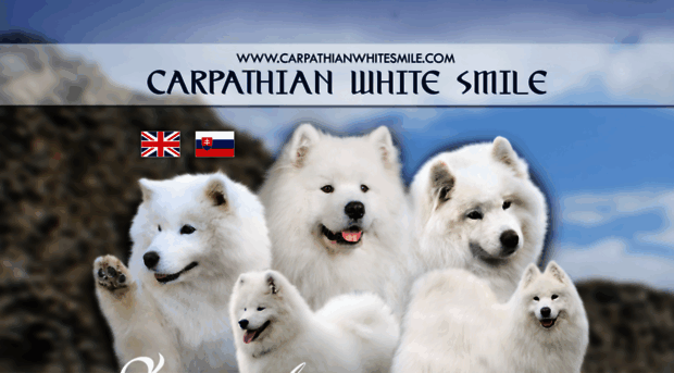 carpathianwhitesmile.com