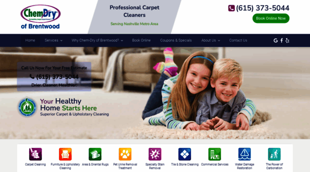 carpetcleanertn.com