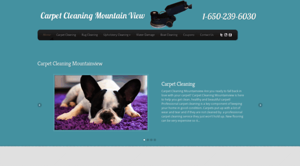 carpetcleaning-mountainview.com