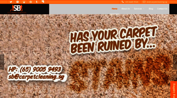 carpetcleaning.sg