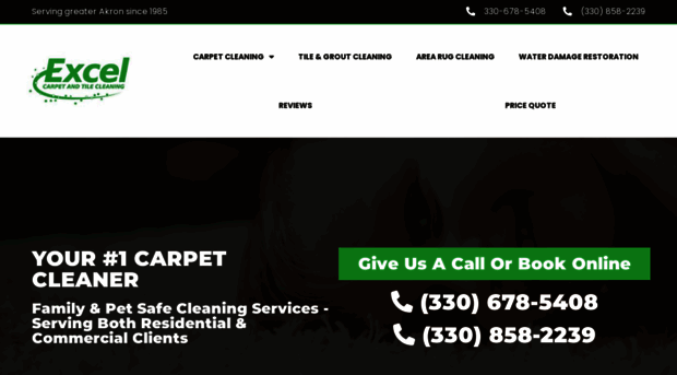 carpetcleaninghudson.com