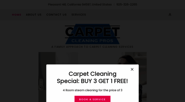 carpetcleaningpros.com