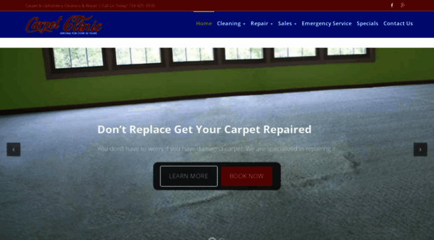 carpetclinicinc.com