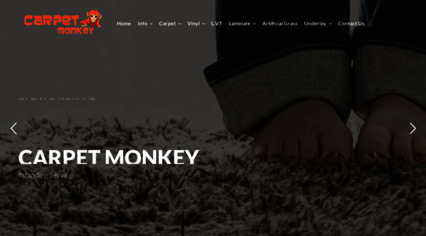 carpetmonkey.co.uk