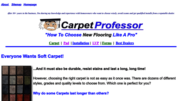 carpetprofessor.com