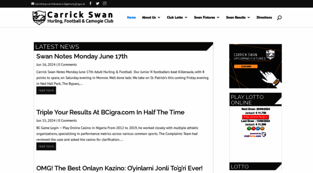 carrickswan.com