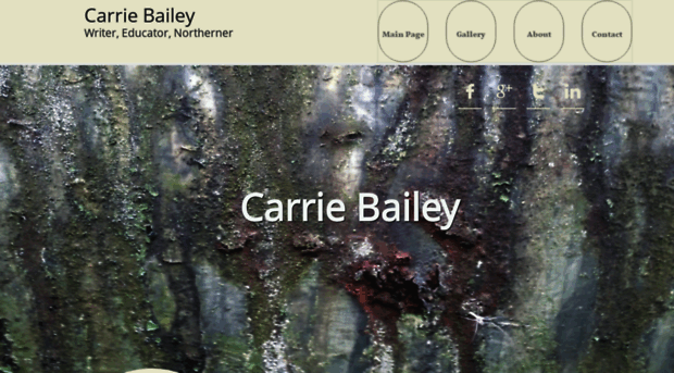 carriebailey.com