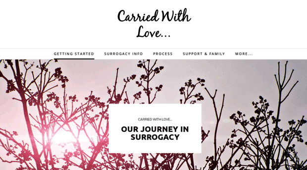 carriedwithlove.weebly.com