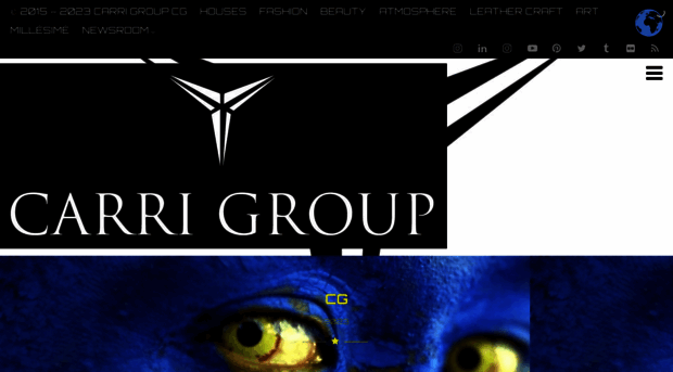 carrigroup.com