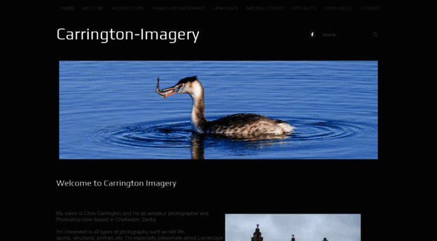 carrington-imagery.co.uk