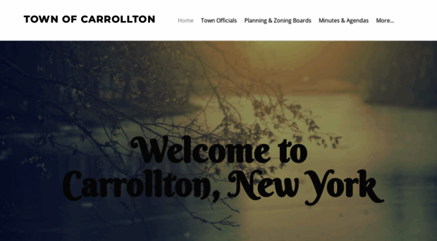 carrolltonny.org