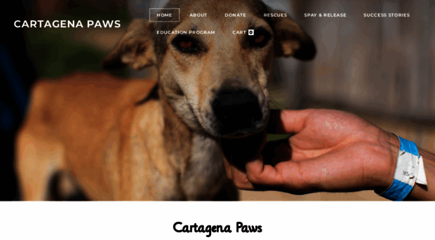 cartagenapaws.com