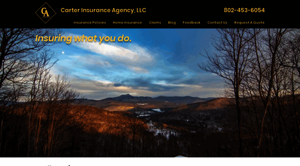 carteragencyvt.com