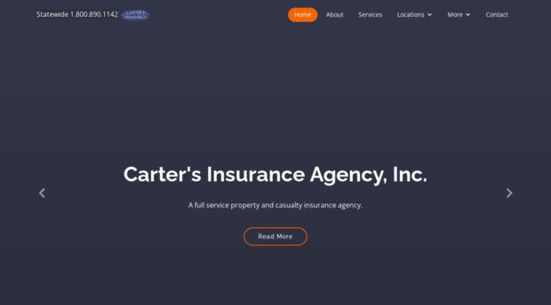 cartersinsurance.com