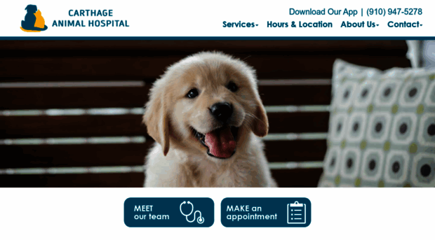 carthageanimalhospital.com