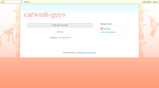 carwash-guys.blogspot.com