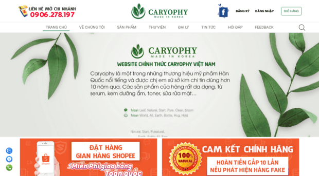 caryophychinhhang.com