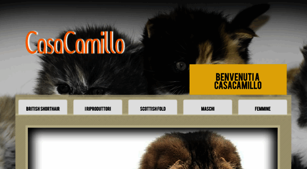 casacamillo.com