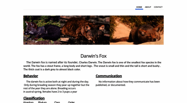 caseyradtkedarwinsfox.weebly.com