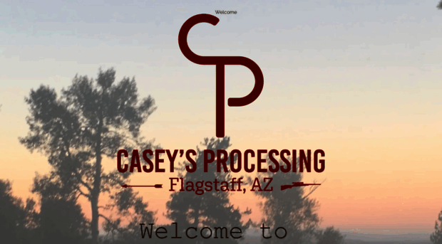 caseysprocessing.com