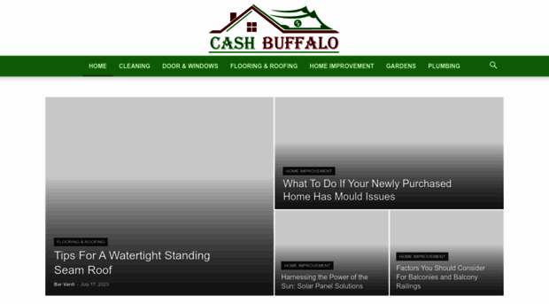 cashbuffalo.org