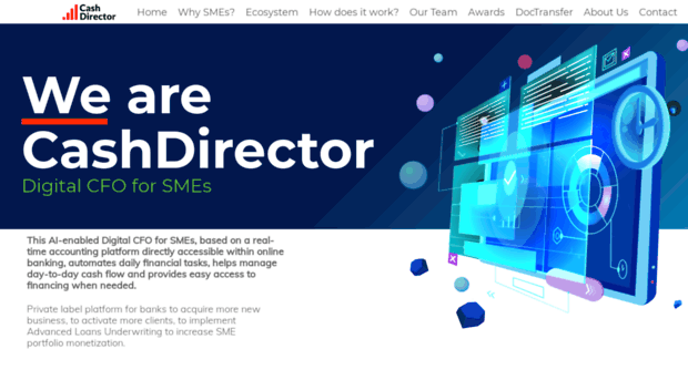 cashdirector.com