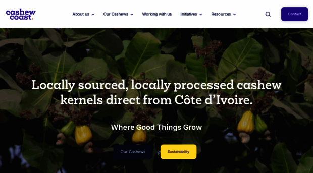 cashewcoast.com