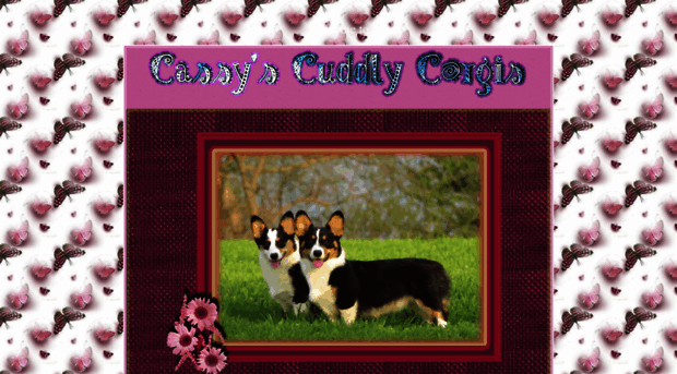 cassyscuddlycorgis.com