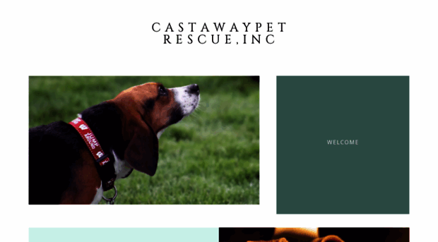 castawaypetrescue.org