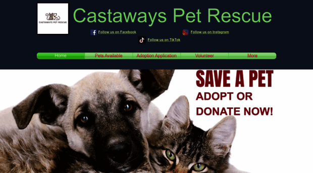 castawayspetrescue.com