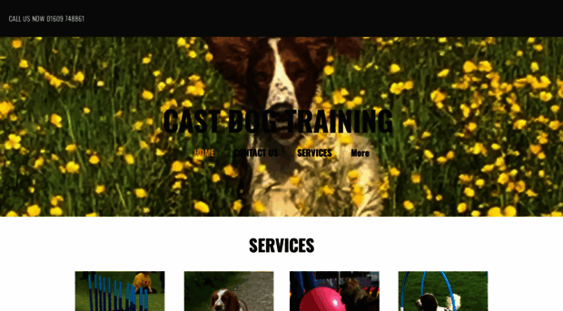 castdogtraining.co.uk