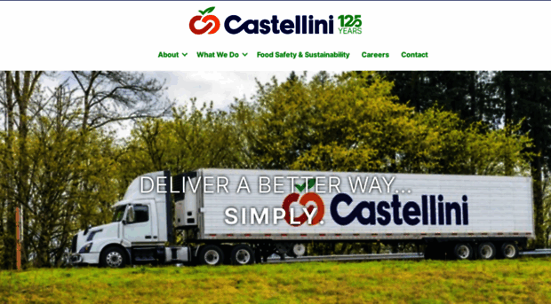 castellinicompany.com