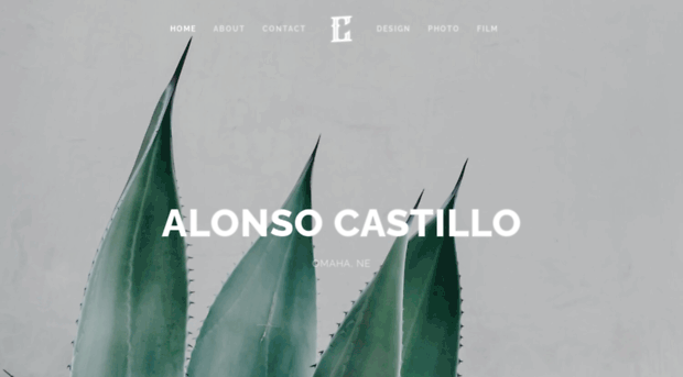 castilloalonso.com