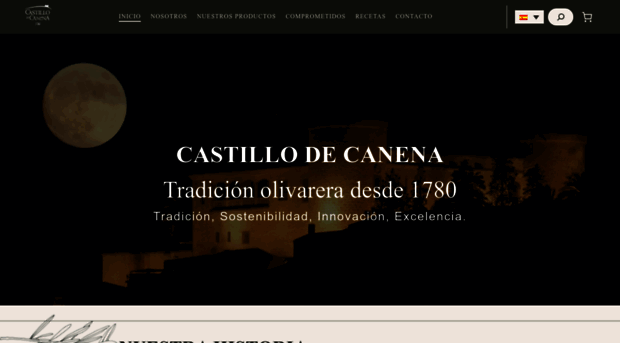 castillodecanena.com