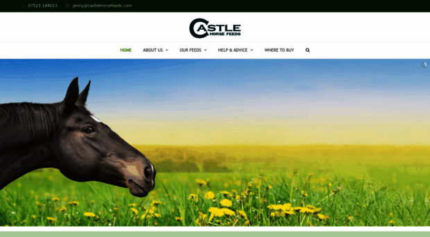 castlehorsefeeds.com