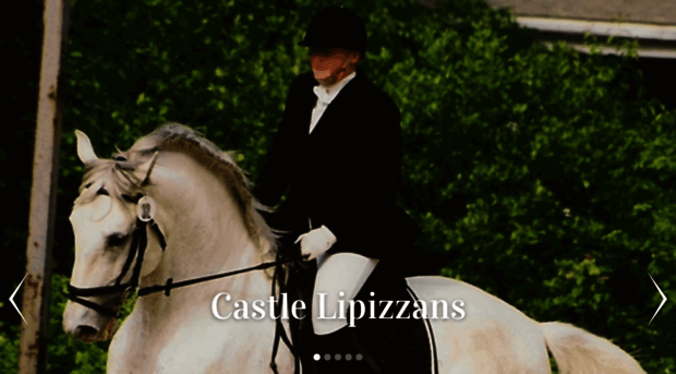 castlelipizzans.com