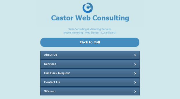 castorwebconsulting.com