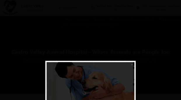 castrovalleyanimalhospital.com