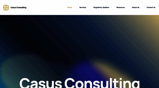 casusconsulting.com