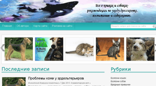 cat-and-dogs.ru