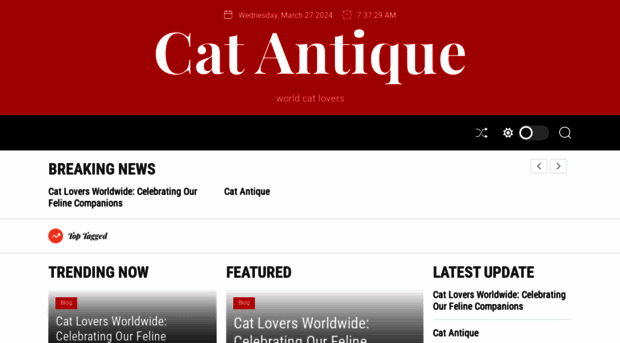 cat-antique.com