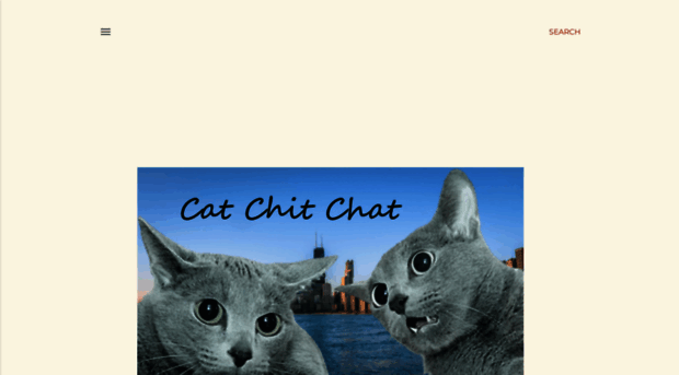 cat-chitchat.pictures-of-cats.org